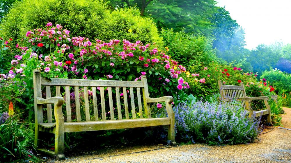 Summer Serenity in a Blooming Garden wallpaper