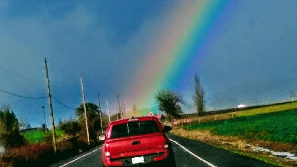 Oregon rainbow wallpaper