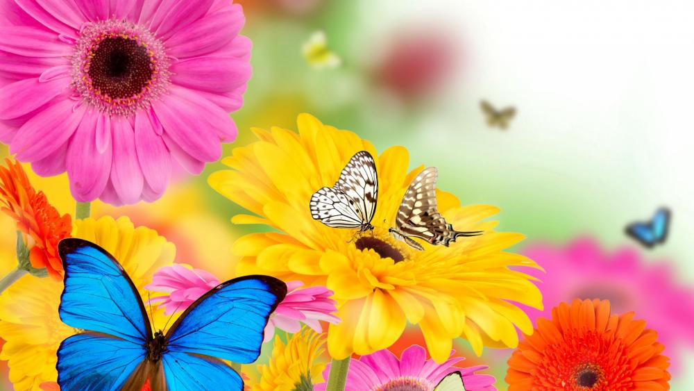 Summer Dream: Vibrant Butterflies and Blooms wallpaper