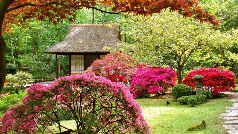 Japanese garden at spring (Clingendael park) wallpaper