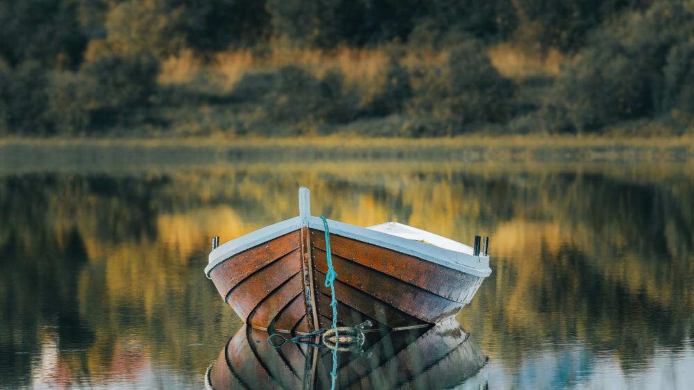 Boat in the nature wallpaper