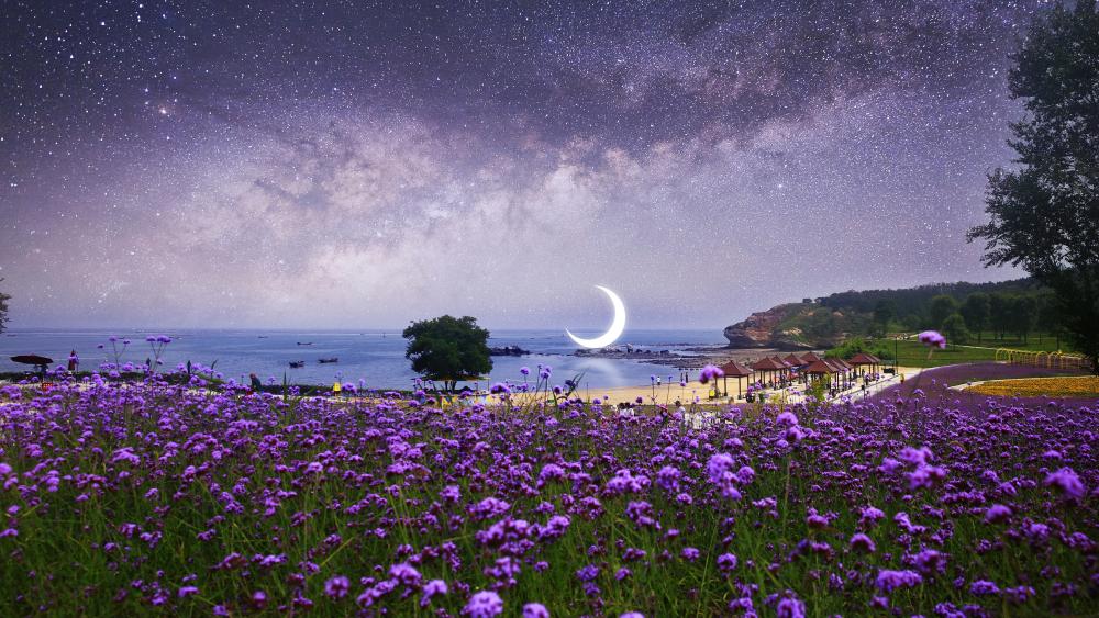 Flower field on the beach under the starry sky dreamy fantasy landscape wallpaper