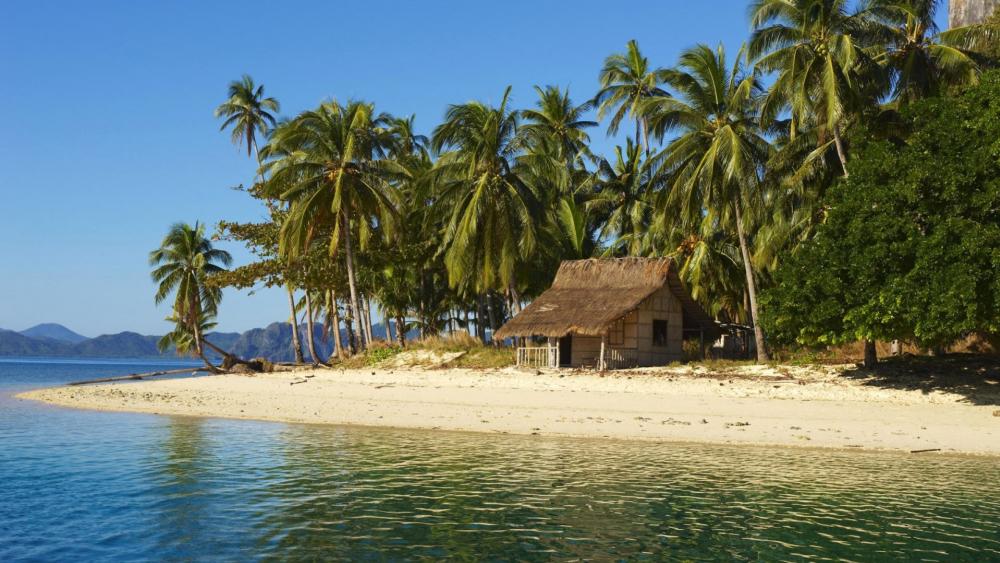 Tropical beach hut wallpaper