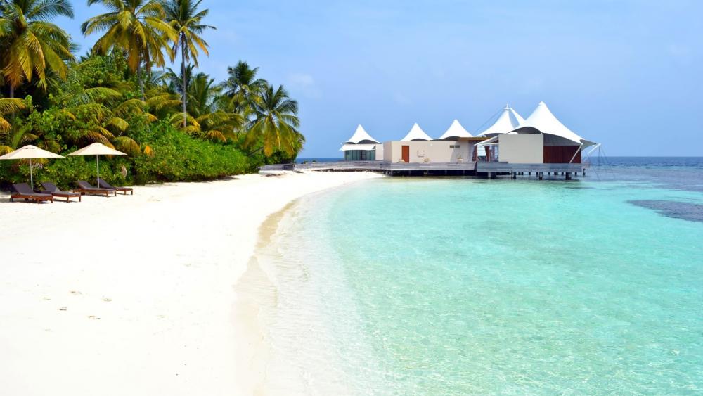 Tropical Maldivian beach wallpaper