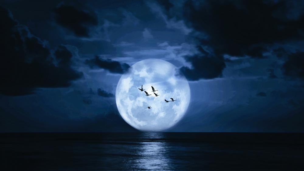 Flying birds at full moon wallpaper