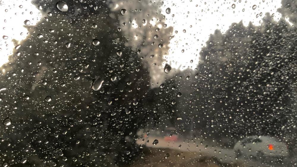 Rain wallpaper