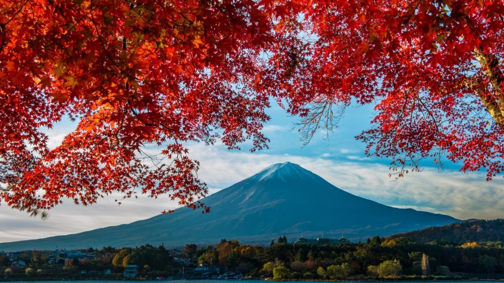 Mount Fuji with red mapple leaves wallpaper