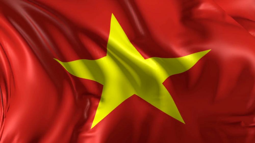 Flag Vietnam wallpaper