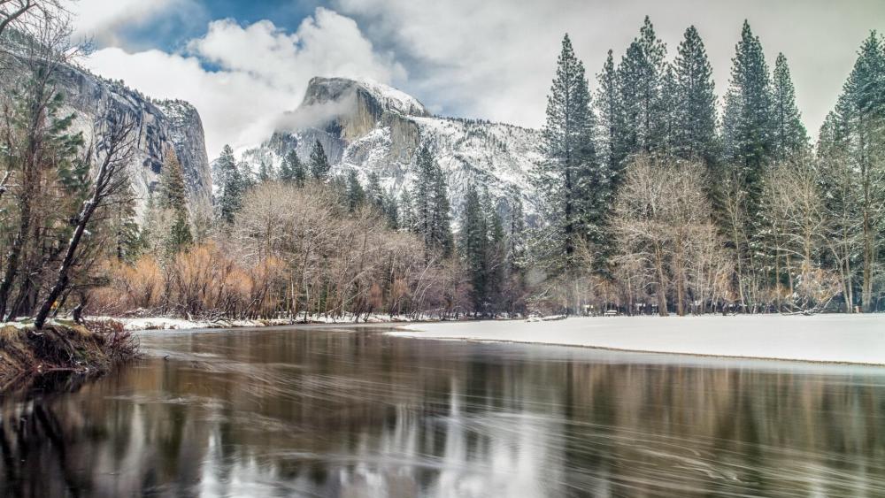 The Half Dome and the Merced River wallpaper