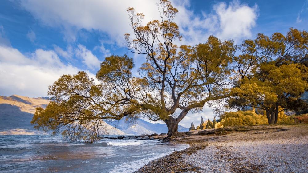 Lake Wānaka wallpaper