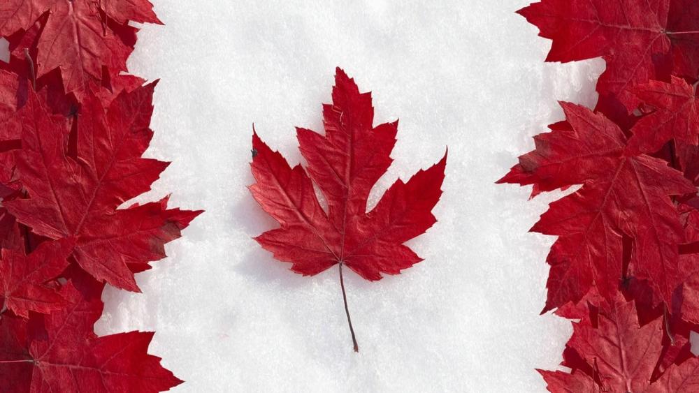 Flag Canada wallpaper