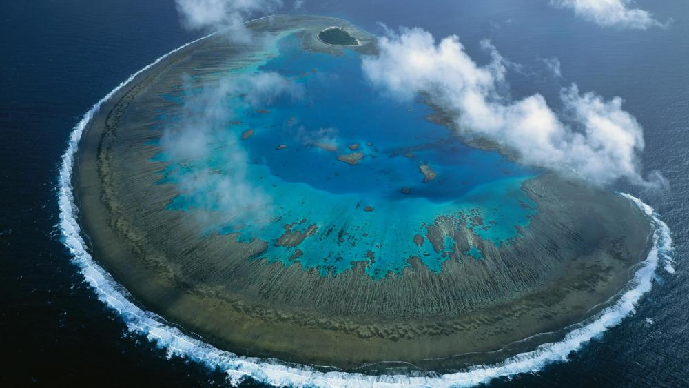 Lady Musgrave Island wallpaper