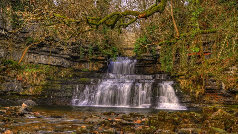 Ash Gill Near Alston In Cumbria wallpaper