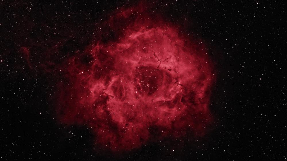 Cosmic Beauty of the Rosette Nebula in Red Shades wallpaper