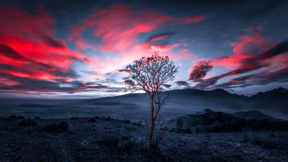 Twilight Serenity under a Crimson Sky wallpaper