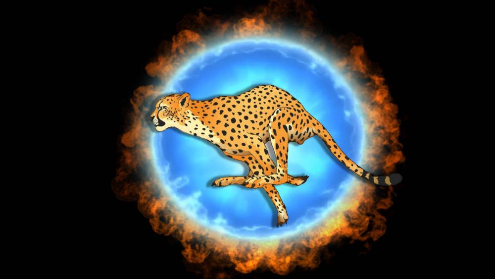 Cheetah runing wallpaper