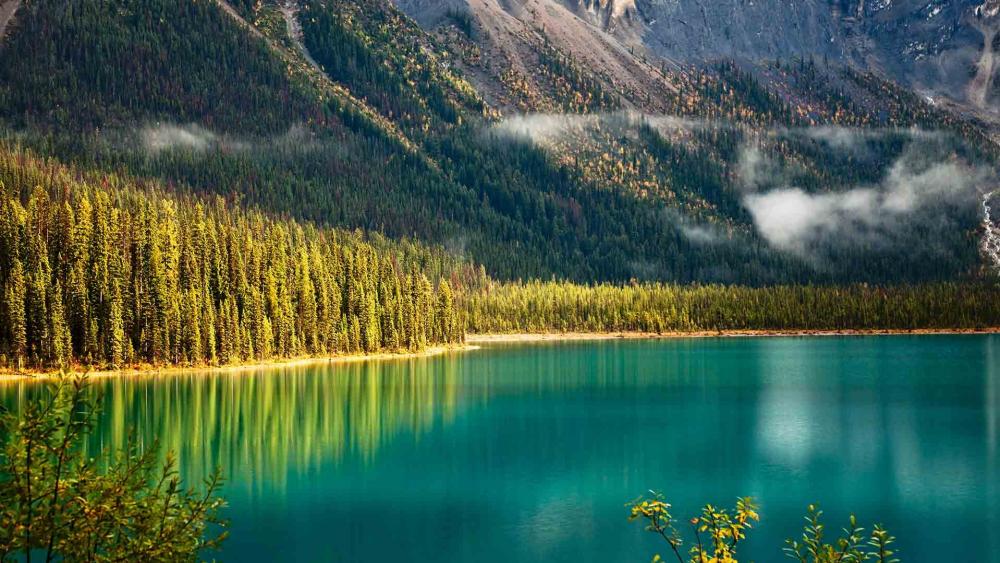 Emerald Lake, Yoho National Park, British Columbia wallpaper