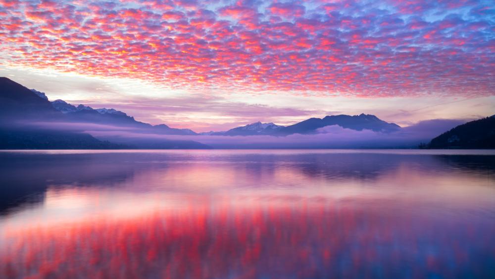 Pink clouds reflected on lake wallpaper