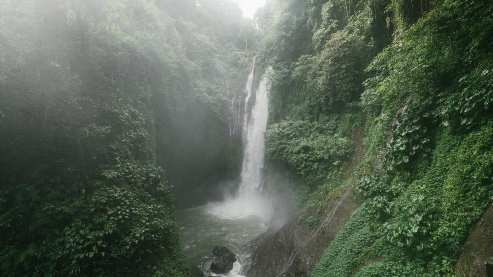 Mist-Covered Jungle Waterfall wallpaper