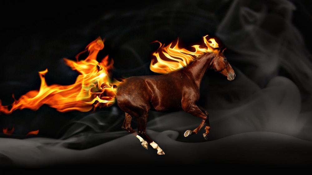 Flameing horse wallpaper