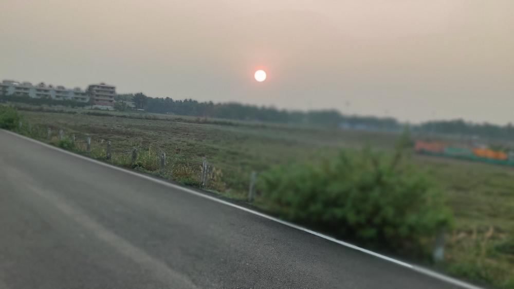 Wallpaper from nature category