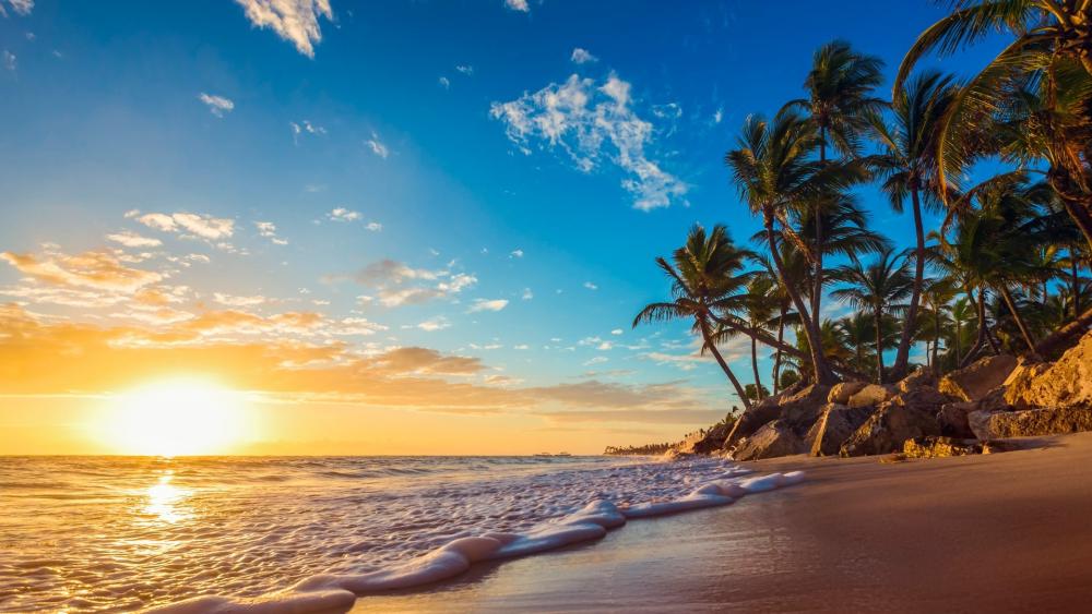 Tropical Beach Sunset Paradise wallpaper