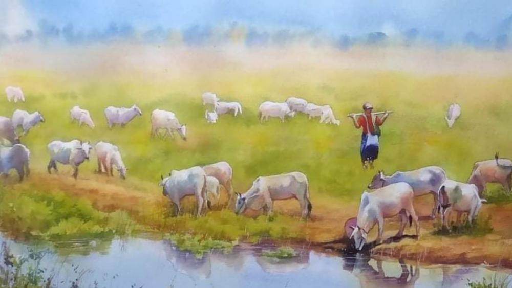 Cow boy (Myanmar) wallpaper