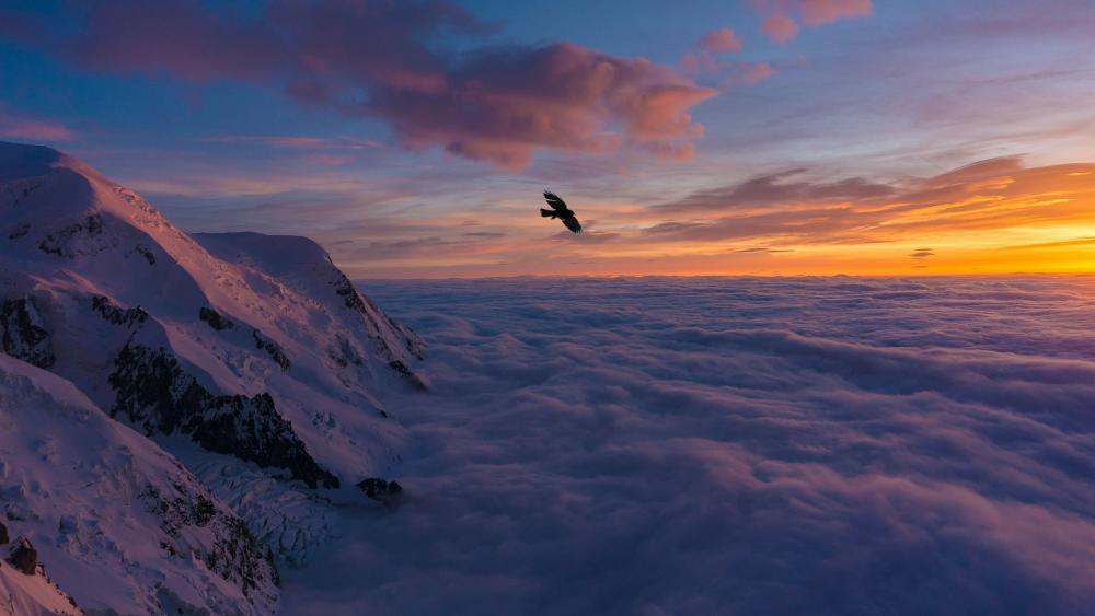 Majestic Flight Over Mountain Dusk wallpaper