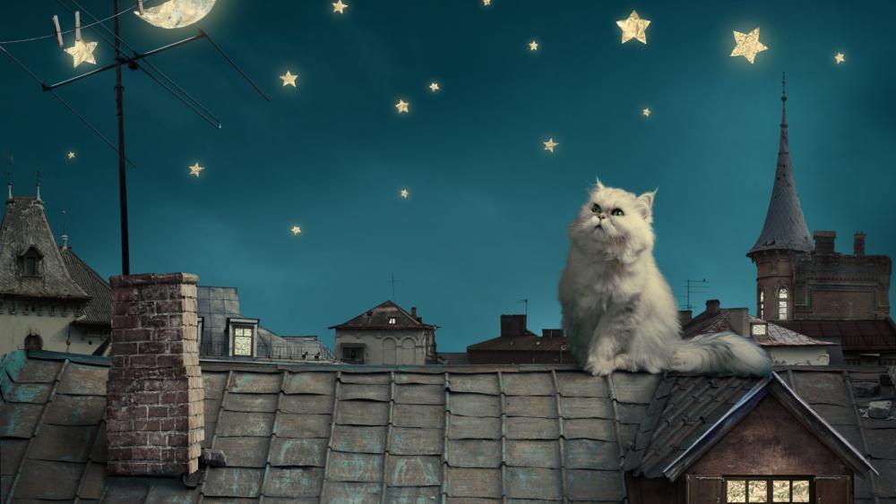 Cat on the roof wallpaper