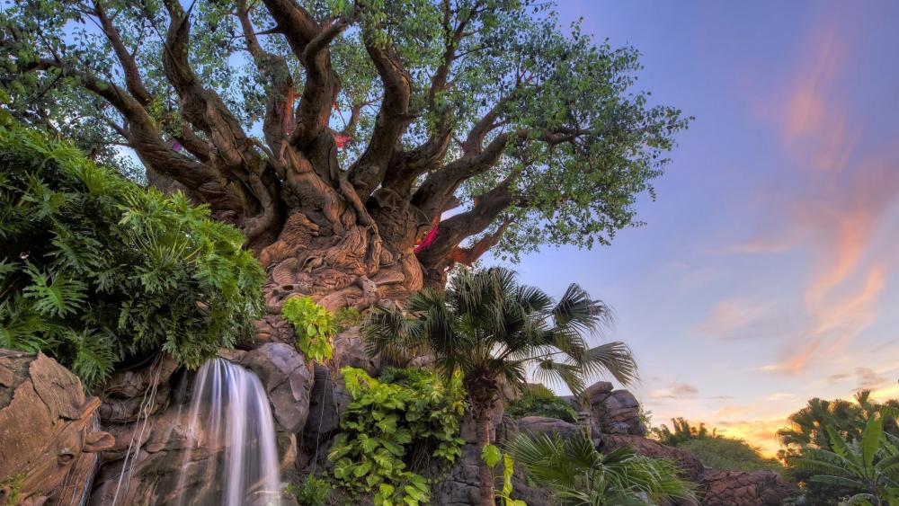 Tree of Life (Walt Disney World Resort) wallpaper