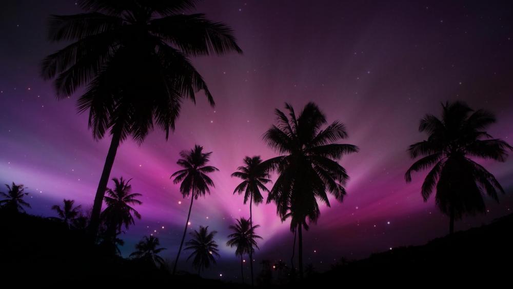 Palm Silhouettes Under a Purple Night Sky wallpaper