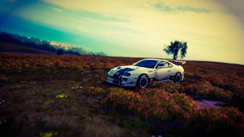 Sunset Ride with a Classic Sports Car - Toyota Supra tilt shift photography wallpaper