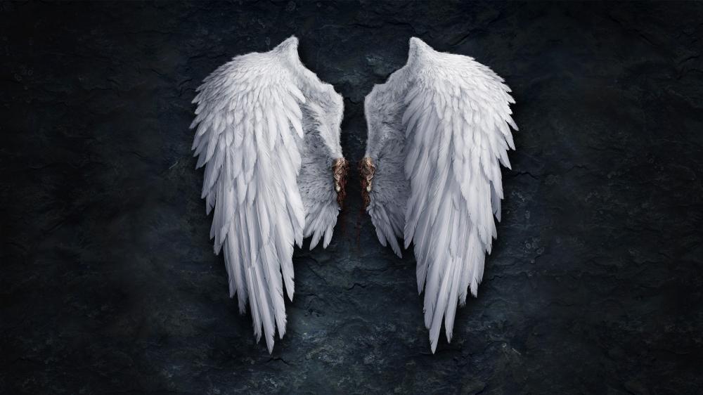Angel wings wallpaper