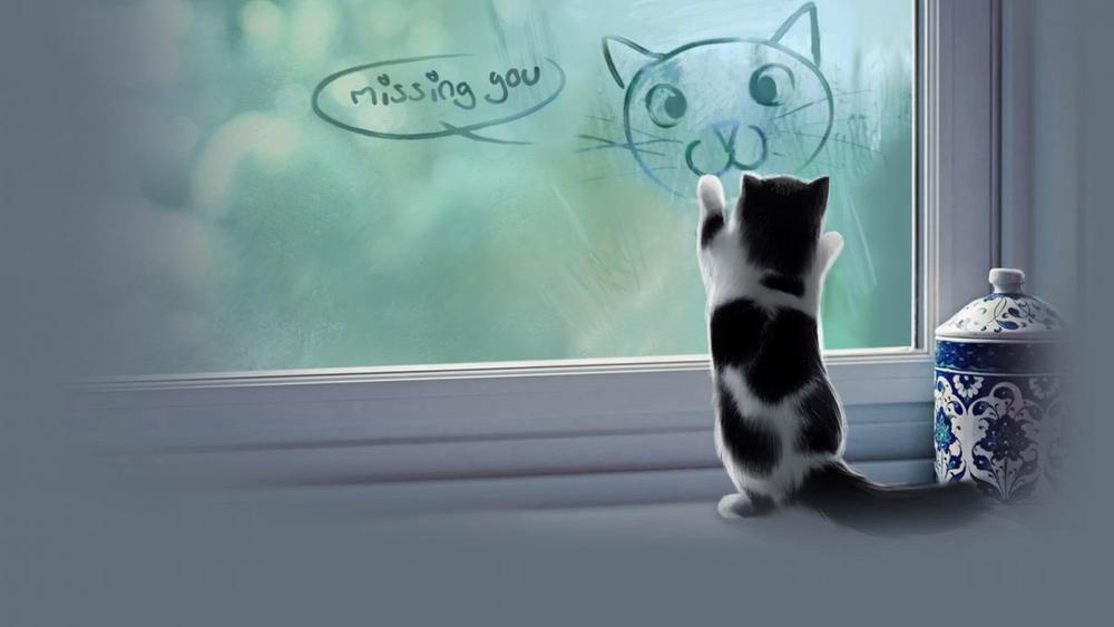 Whimsical Feline Longing by the Window wallpaper