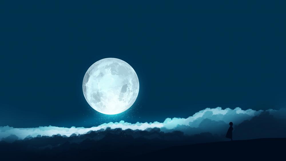 Midnight Moonlight Silhouette wallpaper