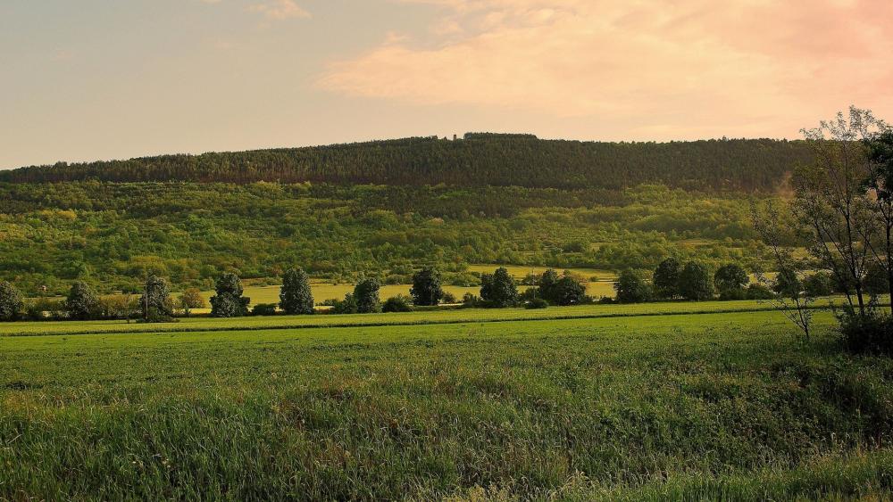 Serene Green Hills Beneath a Gentle Sky wallpaper