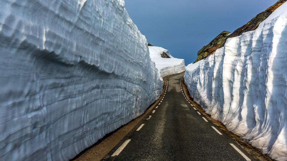 Road through the snow wallpaper