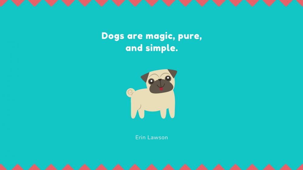 Dogs are magic, pure, and simple. wallpaper