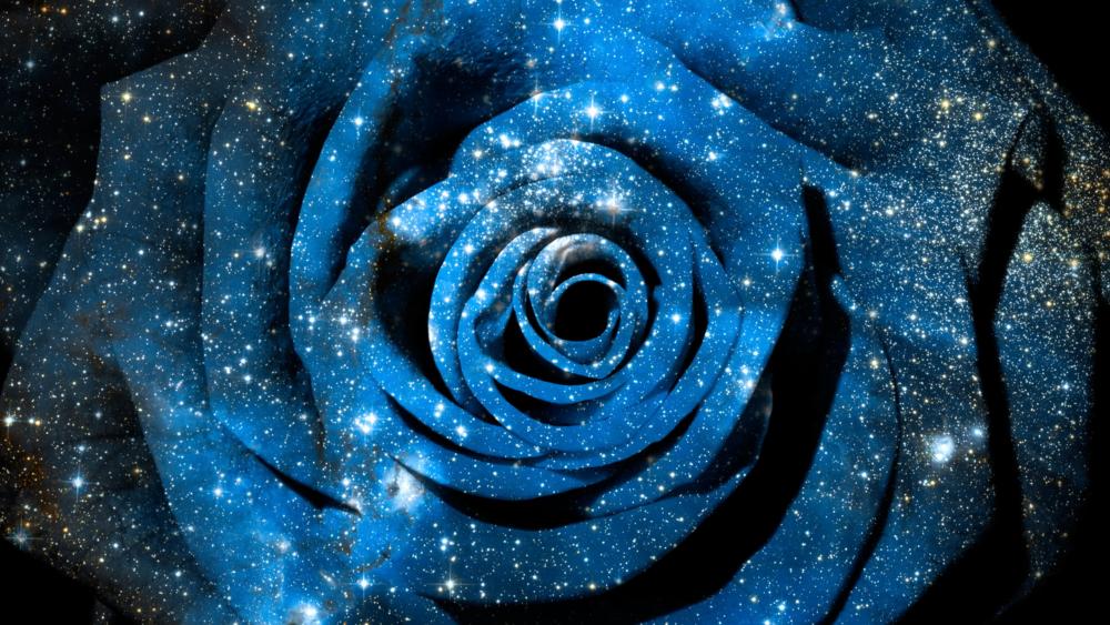 Universe in a blue rose wallpaper