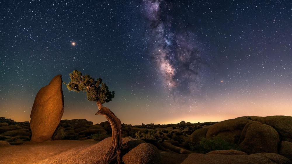 Rock and trees under the Milky way wallpaper