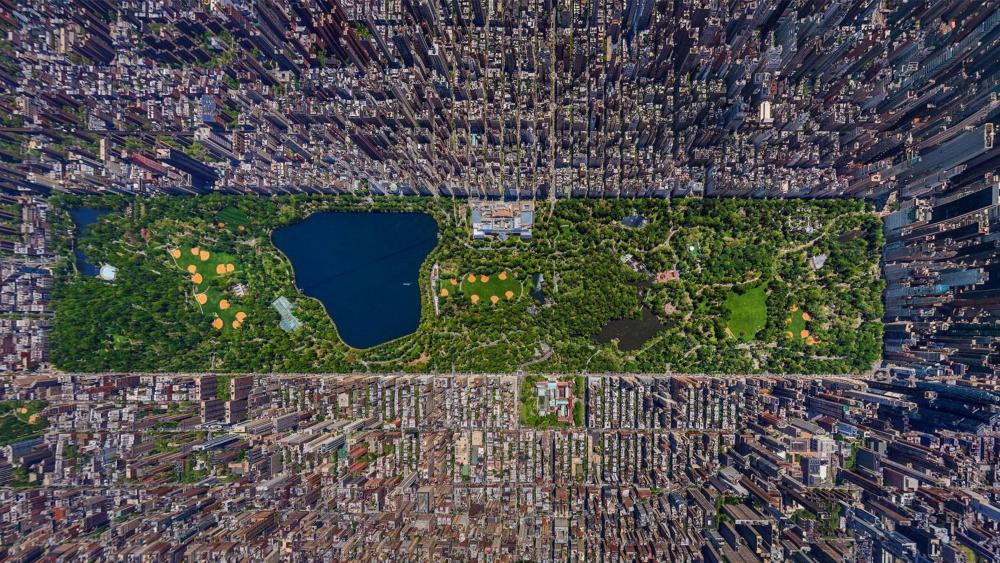 Central Park from above wallpaper