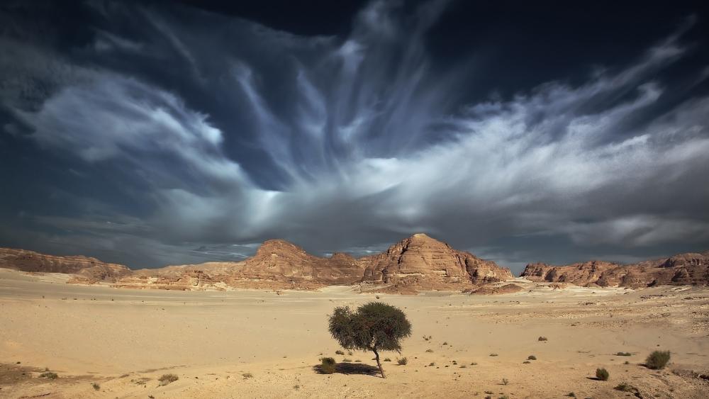 Desert storm wallpaper