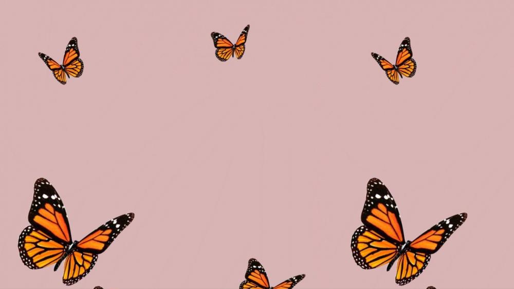 Butterflies in my stomach wallpaper