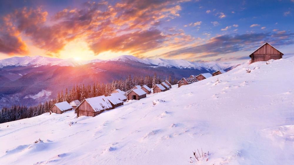 Winter with warm sunshine shining down on the cold thick snow wallpaper