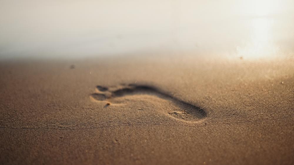 Footprint in the sand wallpaper