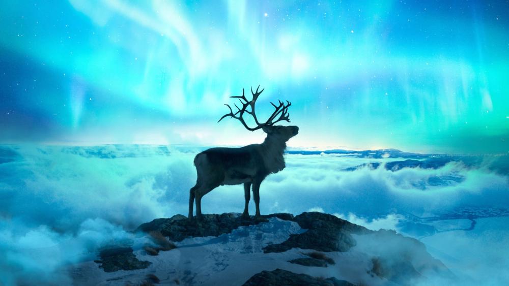 Reindeer and polar lights wallpaper