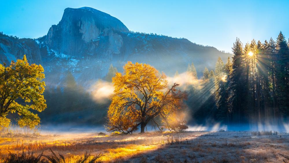 Half Dome from the Sierra Foothills at fall wallpaper