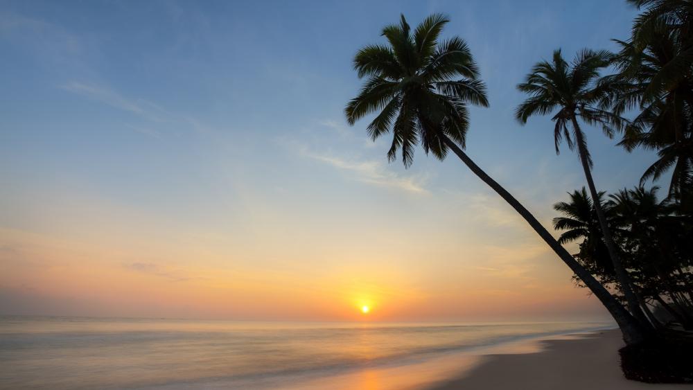 Trpical sunset from the beach wallpaper