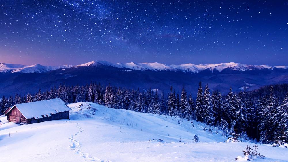 Starry Winter Night's Tranquility wallpaper