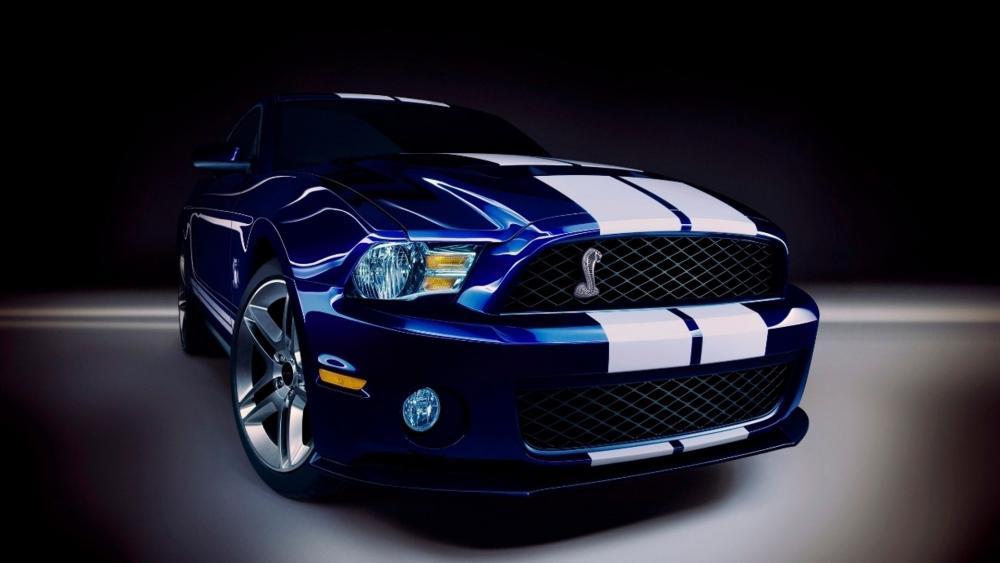 2010 Ford Shelby GT500 wallpaper